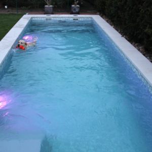 N32-Der-Pool-ist-voll-und-der-erste-Badegast-ist-da-.jpg